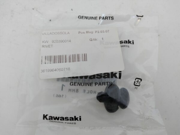 Kawasaki Z1000 SX rivetto 920390014