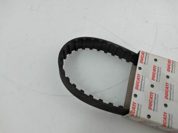 DUCATI Cinghia Dentata Comando Distribuzione - Monster 93-97 066029090