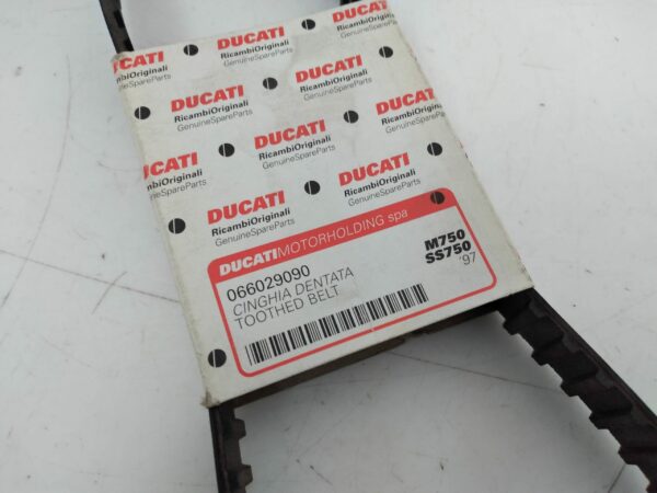 DUCATI Cinghia Dentata Comando Distribuzione - Monster 93-97 066029090