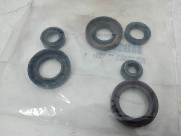 HONDA kit paraoli 7107266900c 7107266